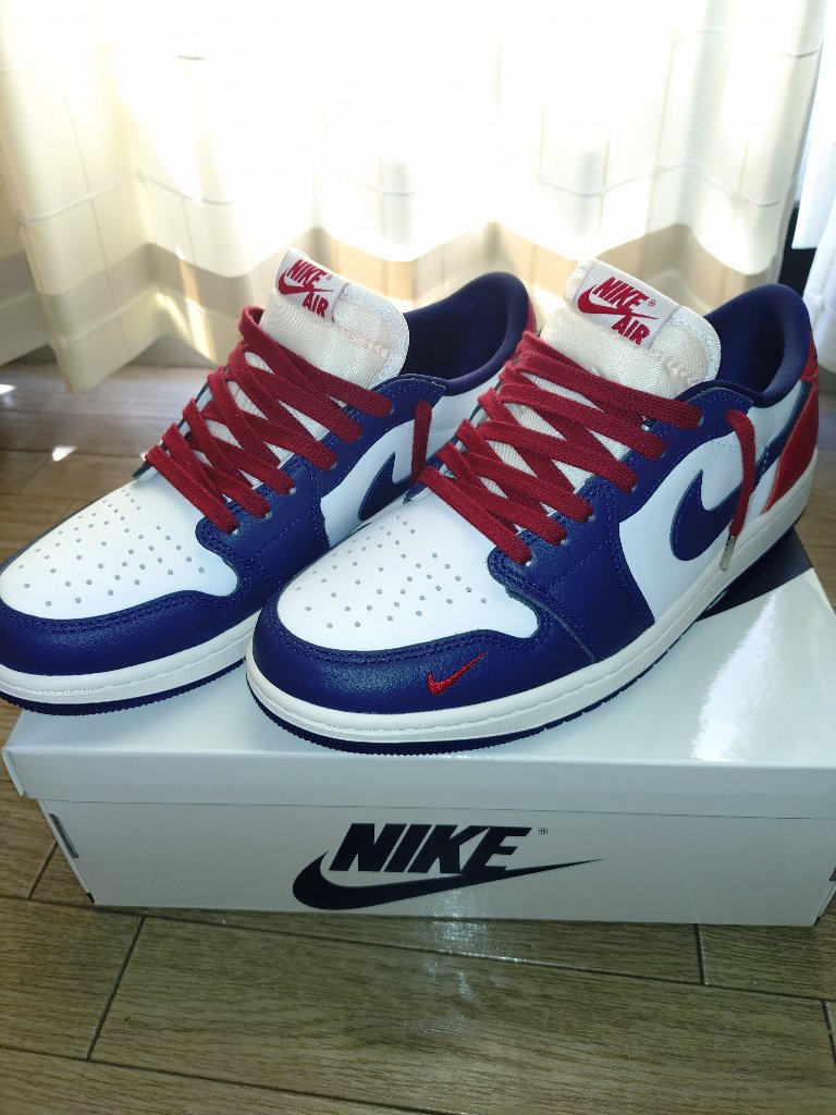 NIKEに604Lを通したところ